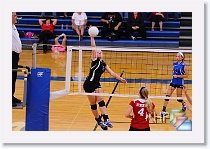 Freshman on 09-18 * (823 Slides)